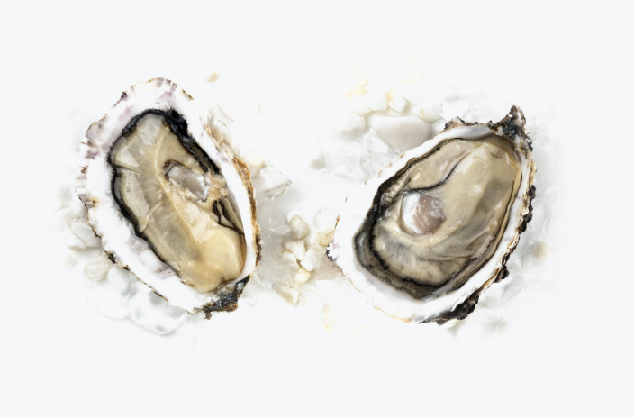 Oyster Extract