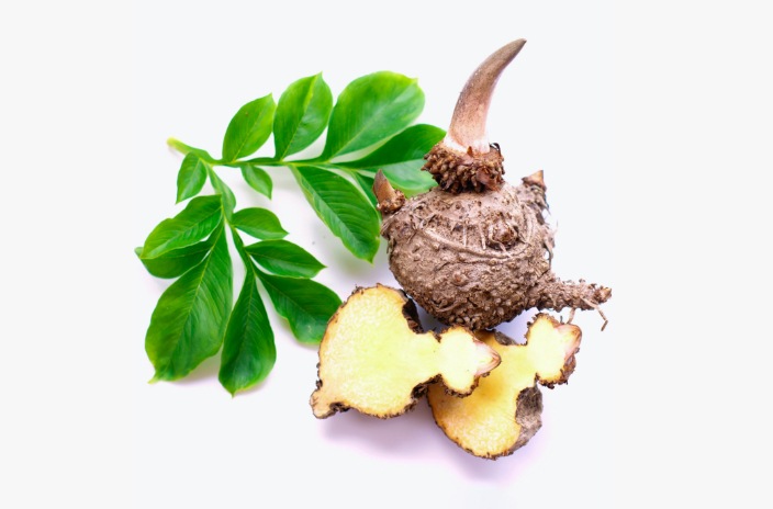 Glucomannan